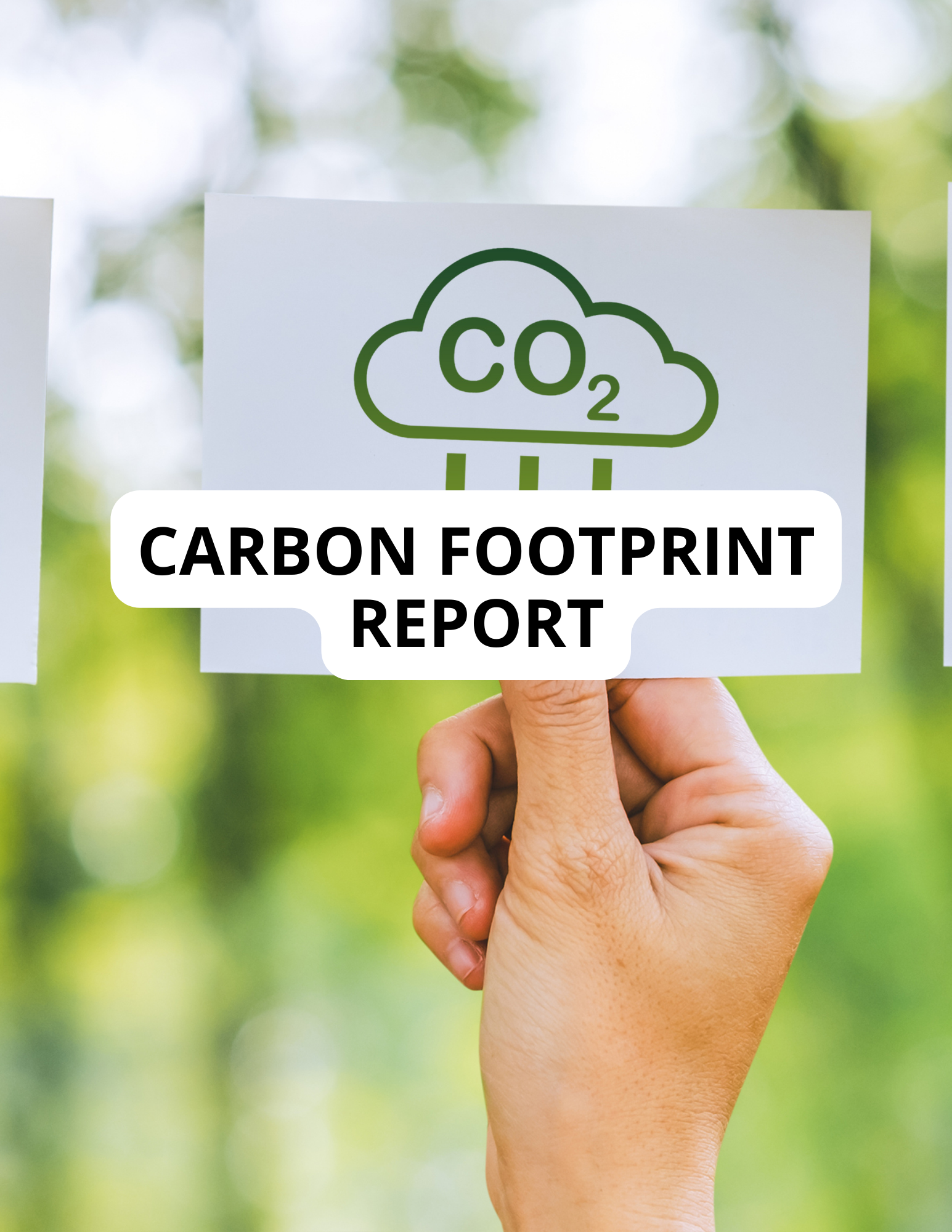 Carbon Footprint Report