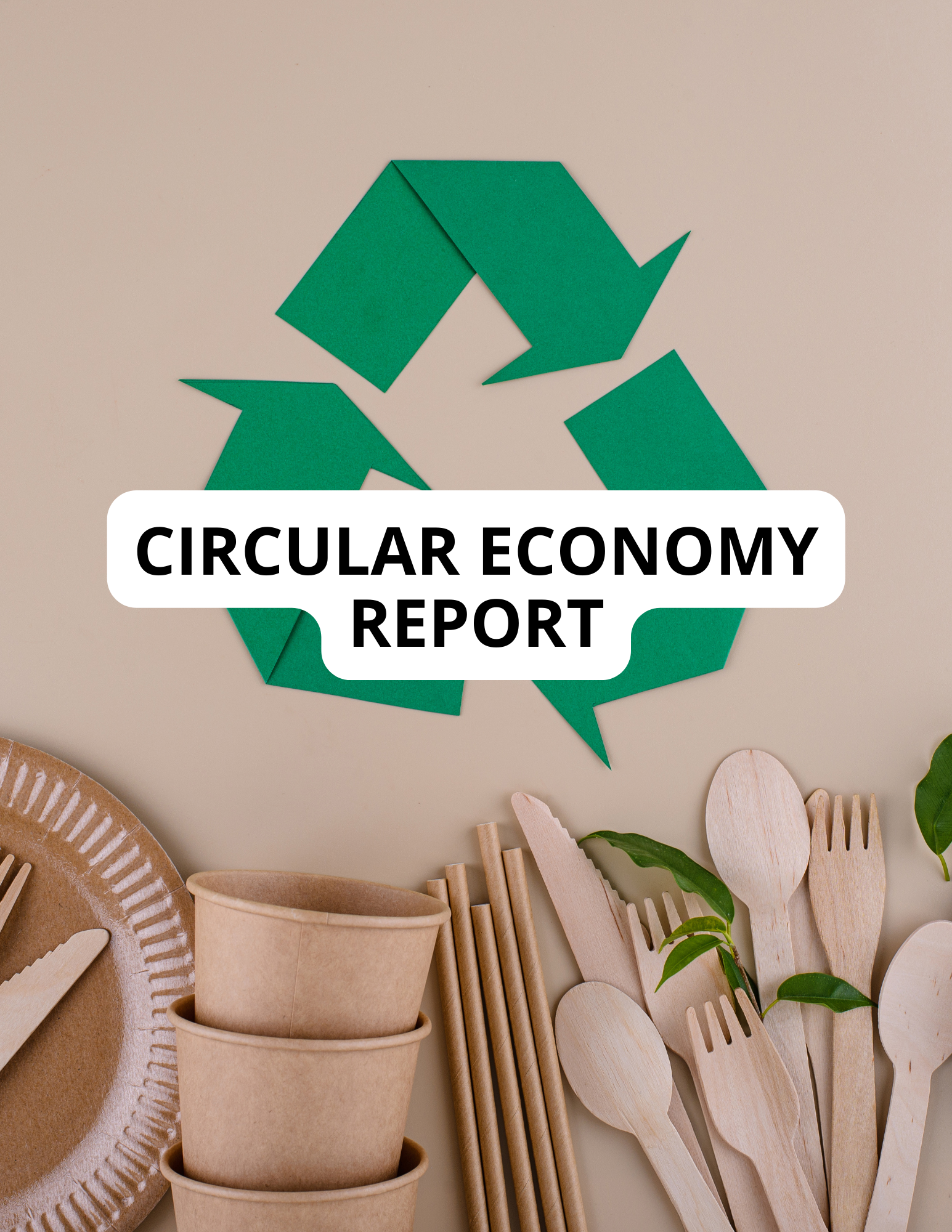 Circular Economy Report