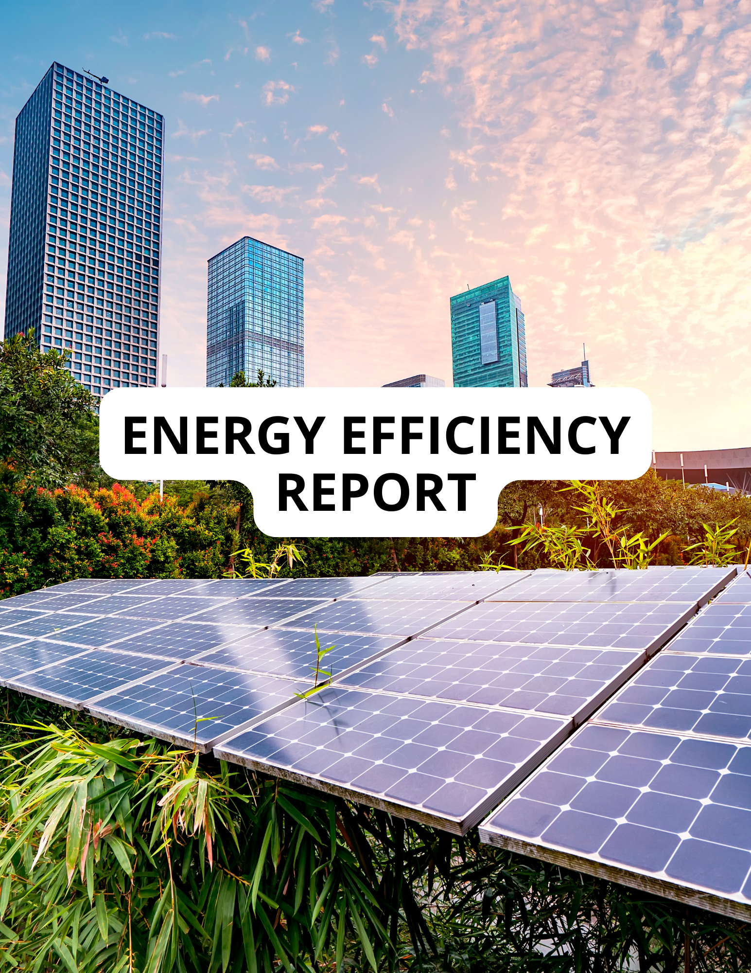 Energy Efficiency Report