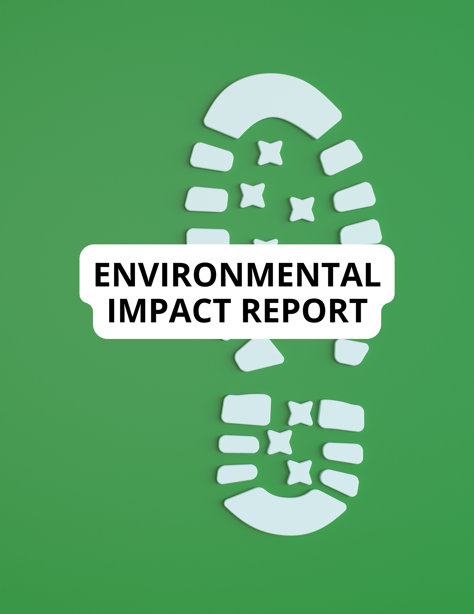 Environmental Impact Report