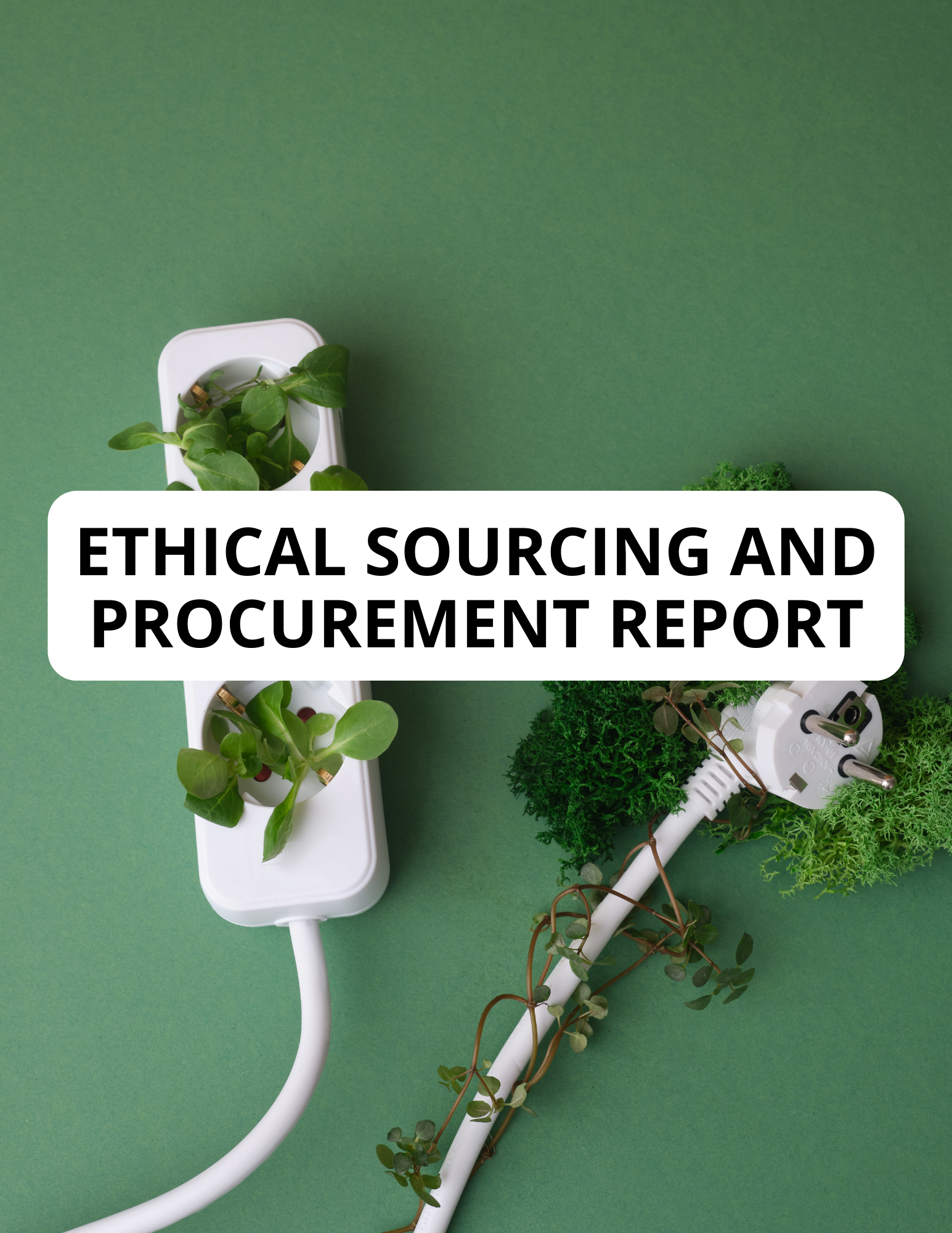 Ethical Sourcing and Procurement Report